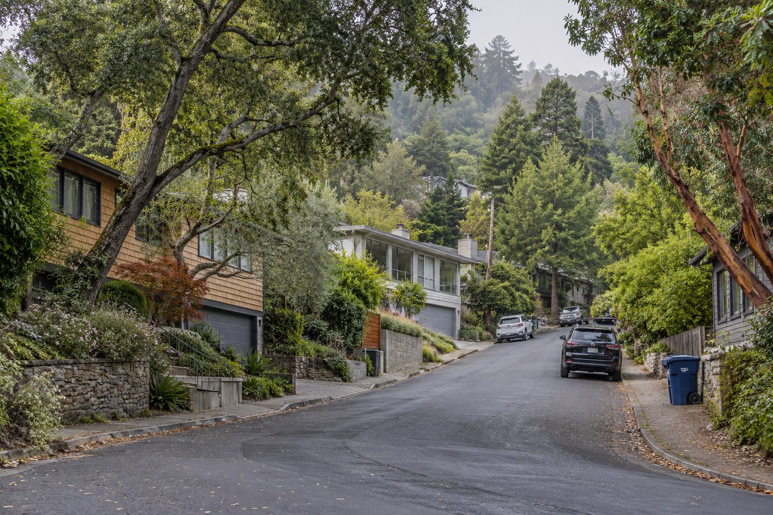 Tree-lined hillside residential street with mature oaks and varied homes