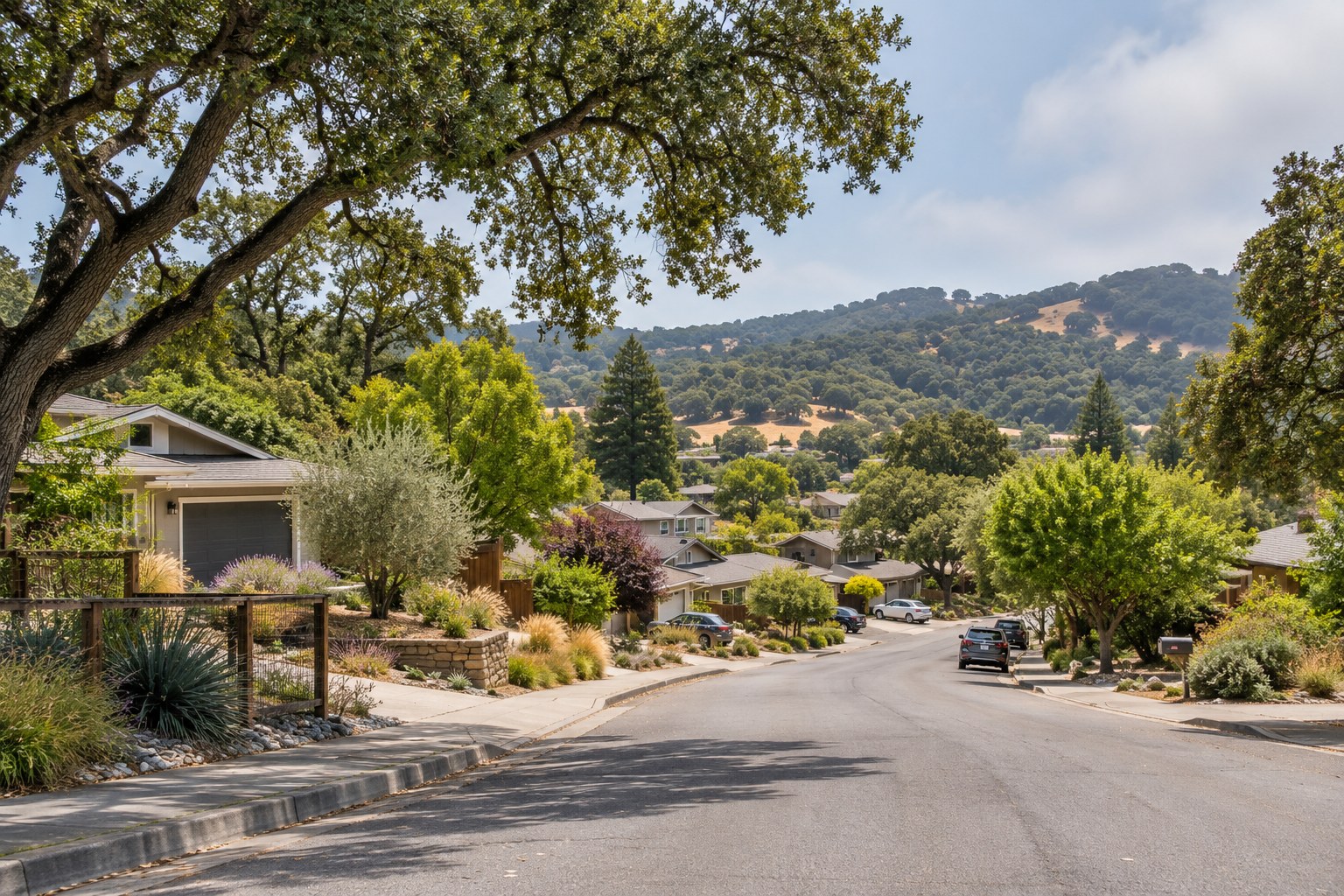Residential street with single-story homes, mature trees and oak-dotted hills