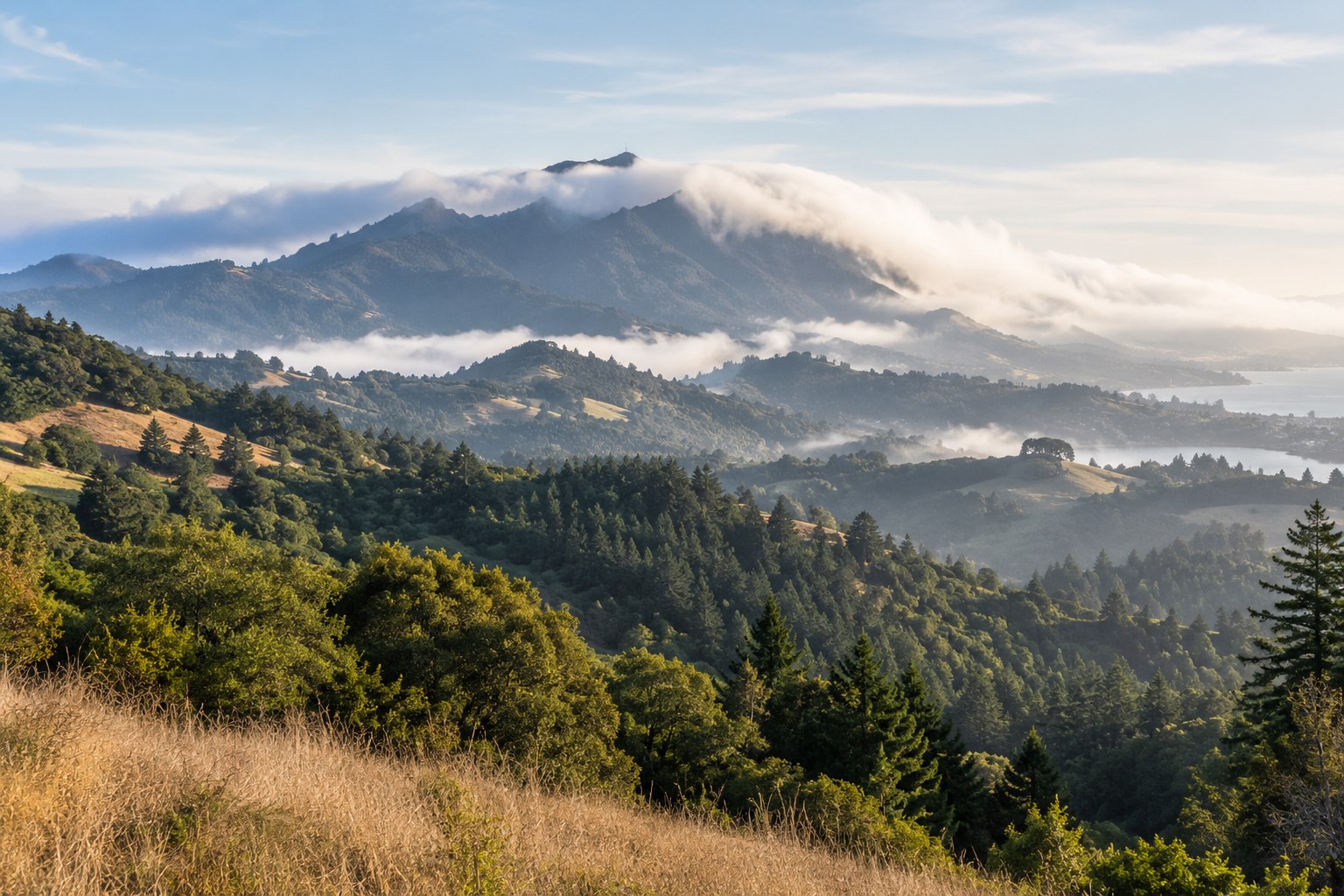 Marin hills and mountain ridge beneath a low marine layer