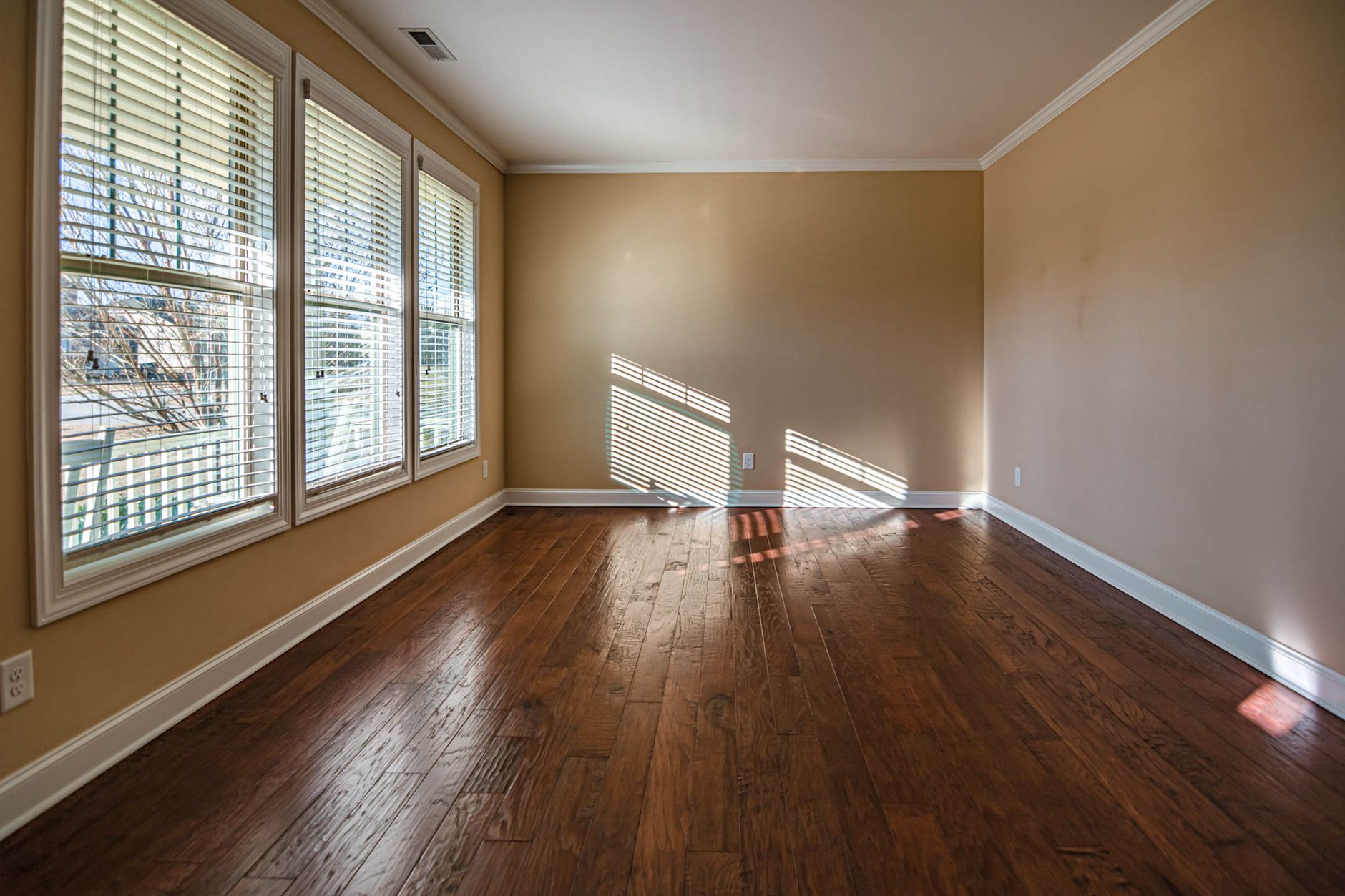 Empty, sunlit living room