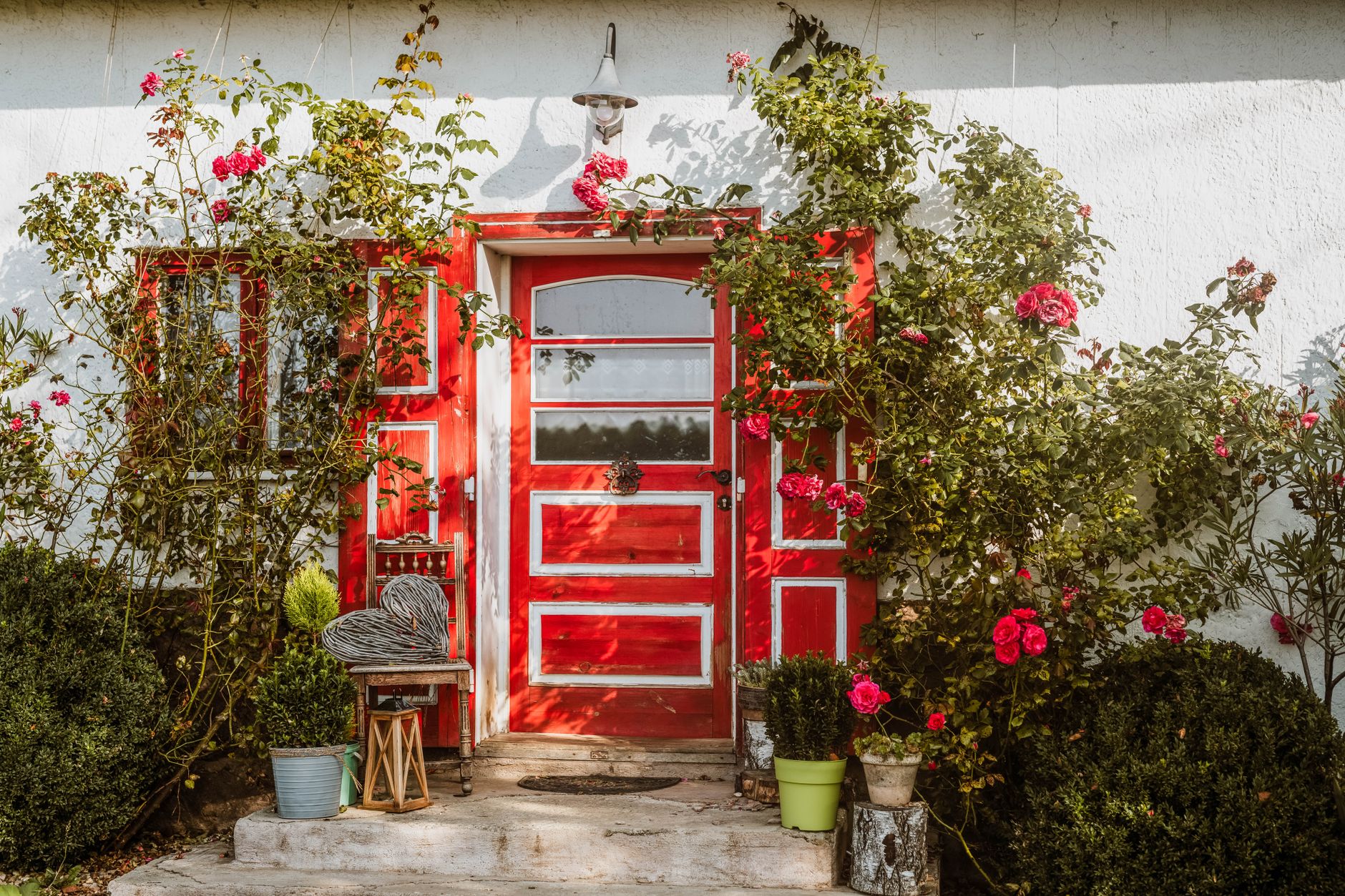 Red front door framed by climbing roses