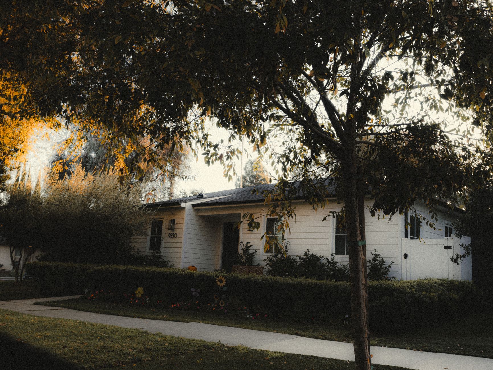 Marin County homes
